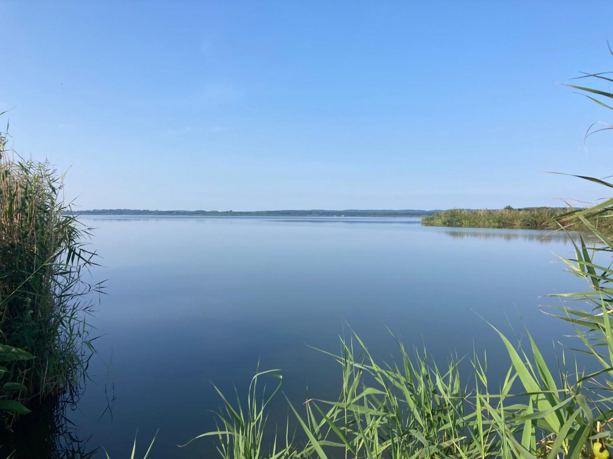 Nowe Apartamenty Ostoja - Nad Baltykiem - Cisza I Piekno Natury Zastan Buitenkant foto